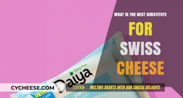 Swiss Cheese Substitute: What's the Best Alternative?