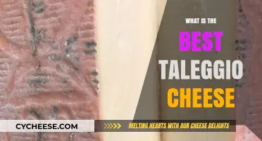 Taleggio Cheese: The Creamy, Tangy, and Peachy Italian Classic