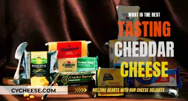 The Ultimate Cheddar Cheese Tasting Guide: Top Choices Revealed