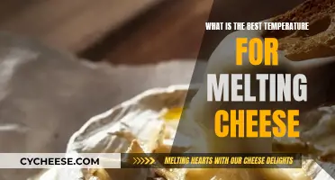 Melting Cheese: The Ideal Temperature Range