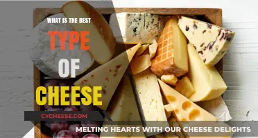 Cheese Connoisseur: Finding the Perfect Cheese