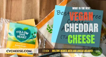 Vegan Cheddar: The Ultimate Guide to the Best Plant-Based Option