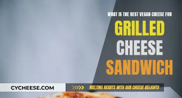 Vegan Grilled Cheese: Best Dairy-Free Cheeses for Melting