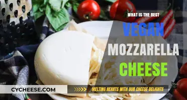 Vegan Mozzarella: The Best Dairy-Free Cheese Options