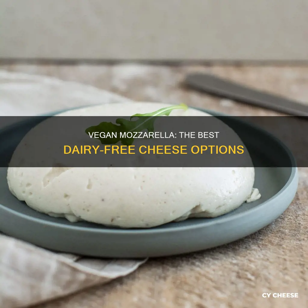 what is the best vegan mozzarella cheese