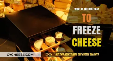 Freezing Cheese: Best Methods to Preserve Your Favorite Dairy Delights