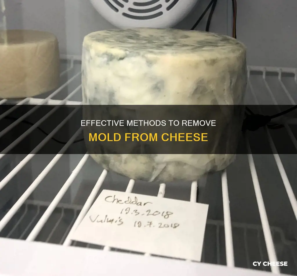 what is the best way to get mold off cheese