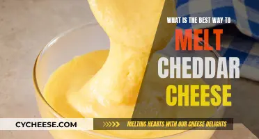 Mastering the Art of Cheddar Cheese Melting: Techniques and Tips