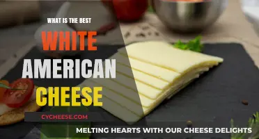 The Best White American Cheese: A Tasty Overview