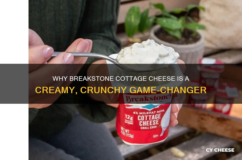 what is the big deal with breakstone cottage cheese