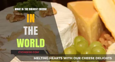 The World's Largest Cheese: Unveiling the Colossal Dairy Marvel