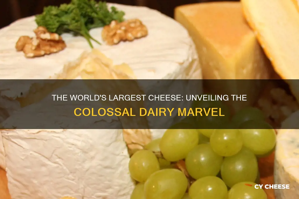 what is the biggest cheese in the world