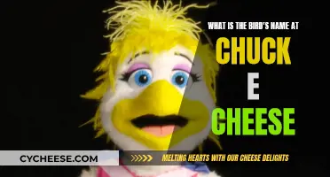 The Bird's Name at Chuck E. Cheese Revealed