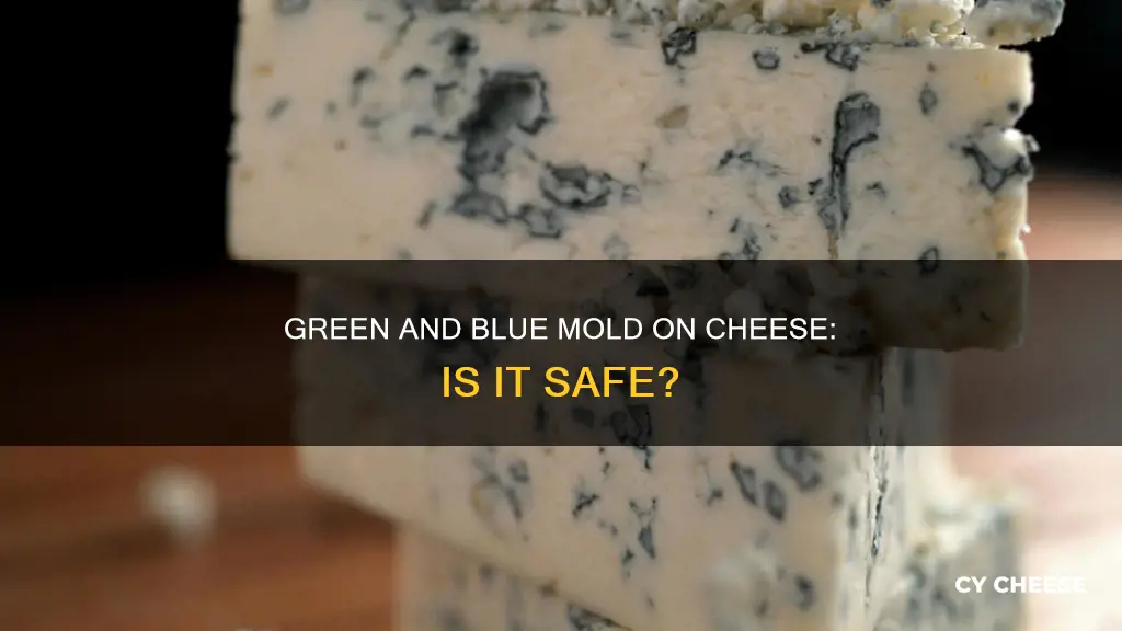 what is the blue green mold on cheese