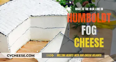 Humboldt Fog Cheese: The Secret Behind the Blue Line