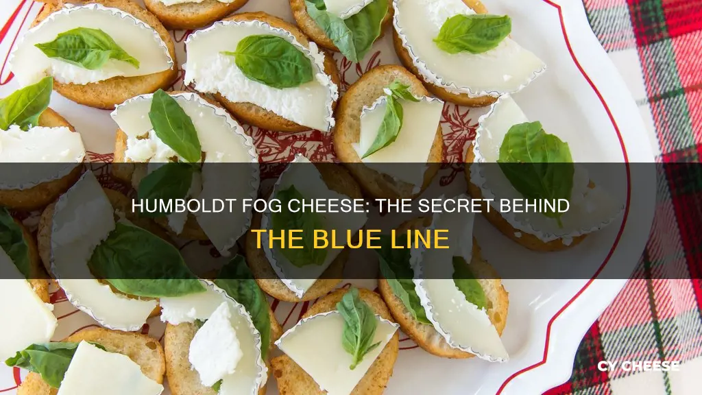 what is the blue line in humboldt fog cheese
