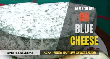 Blue Cheese's Blue Veins: Unraveling the Mystery