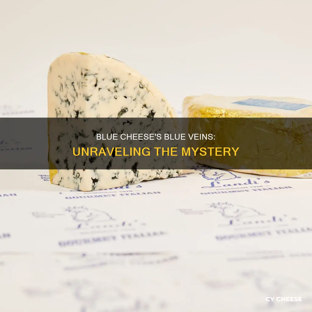 what is the blue on blue cheese