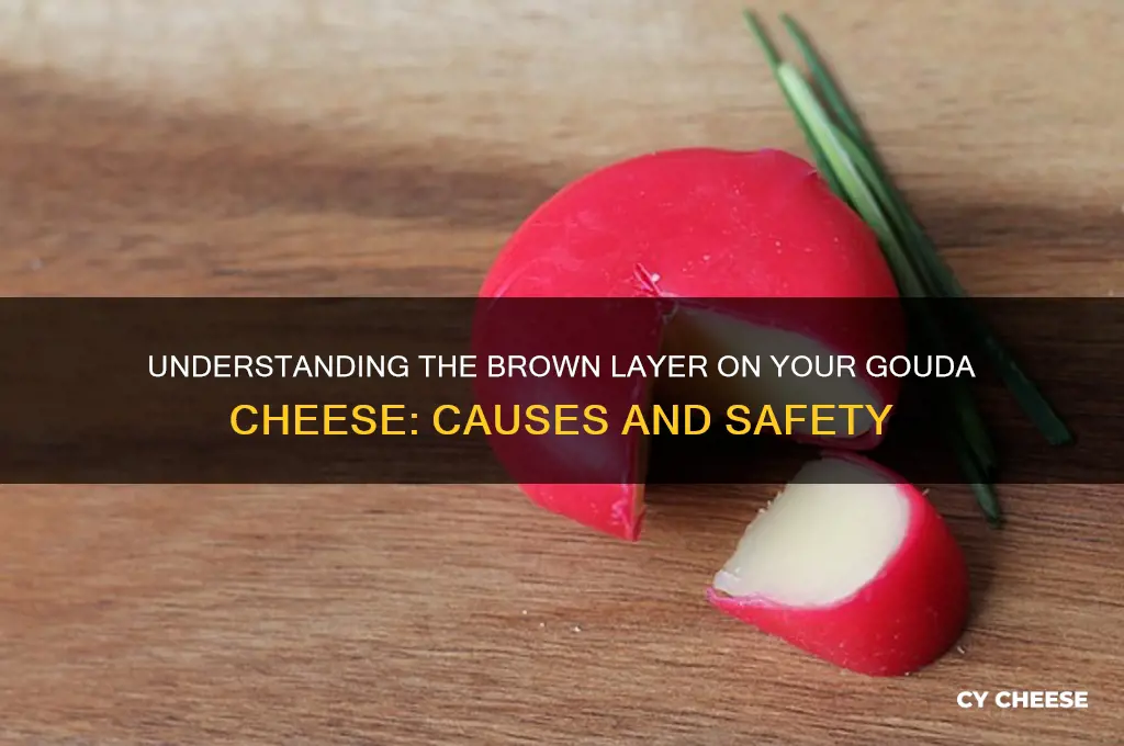 what is the brown layer around my gouda cheese
