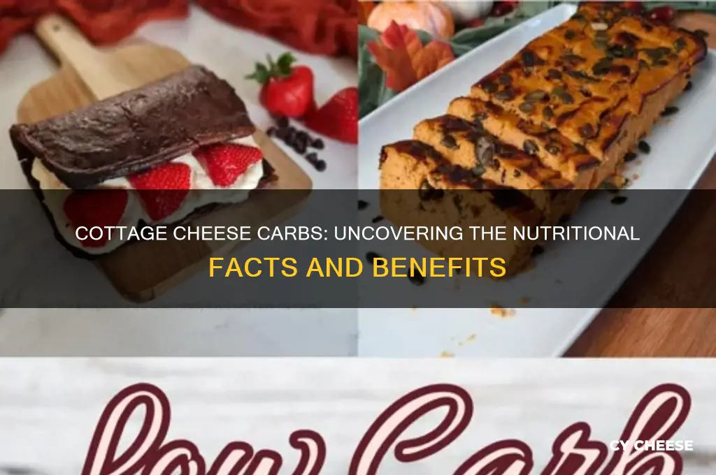 what is the carbs in cottage cheese