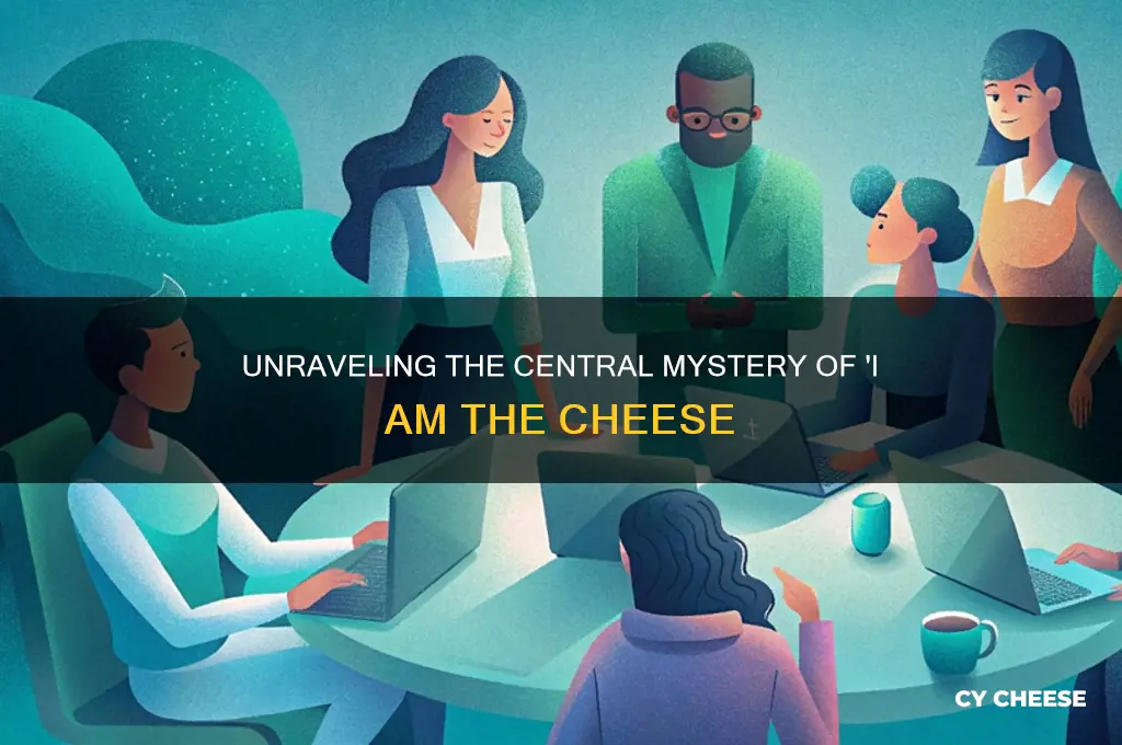 what is the central idea of i am the cheese