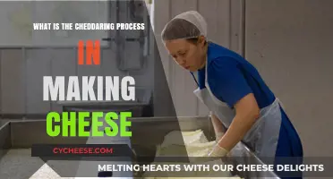 Understanding the Cheddaring Process in Cheese Making: A Detailed Guide