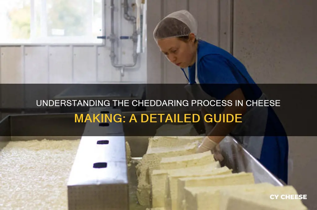 what is the cheddaring process in making cheese