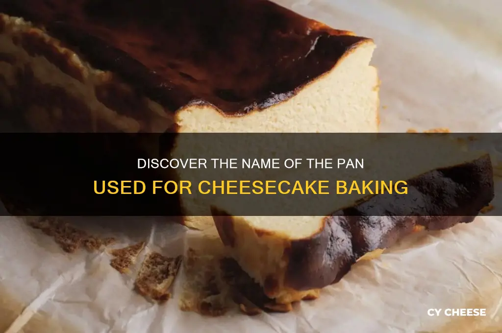 what is the cheese cake making pan called