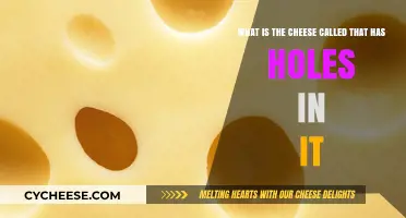 The Swiss Secret: Unraveling the Mystery of Hole-Filled Cheese