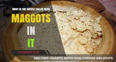 Exploring Casu Marzu: The Maggot-Infested Cheese Delicacy Explained