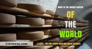 Exploring the Global Cheese Capital: A Tasty Journey to Dairy Heaven