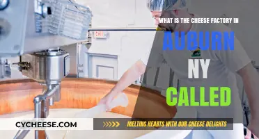 Discovering Auburn NY's Famous Cheese Factory: Name and History