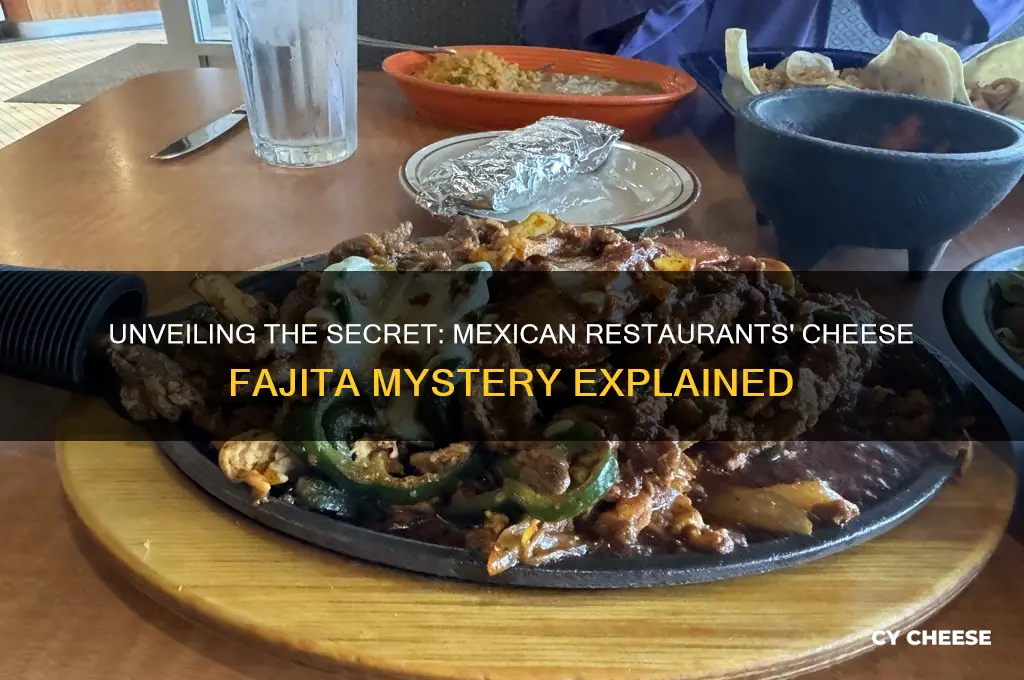 what is the cheese fajita mexican restaurants have
