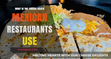 Cheese Fajita: Mexican Restaurants' Secret Recipe