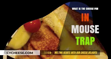 Why Cheese is the Secret Weapon in Mouse Traps: Explained