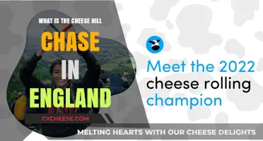Exploring England's Cheese Hill Chase: History, Fun, and Tradition