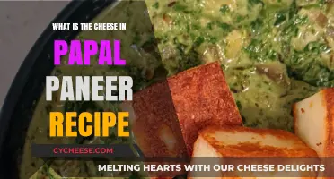 Discover the Secret Cheese in Authentic Papal Paneer Recipe