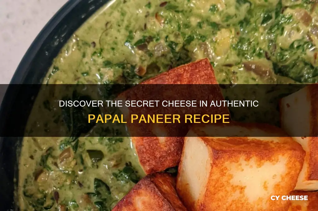 what is the cheese in papal paneer recipe