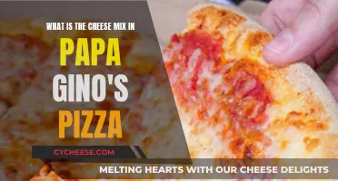 Papa Gino's Pizza: Unveiling the Secret Cheese Mix