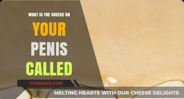 Unusual Discharge Explained: Understanding the Cheese-Like Substance on Your Penis