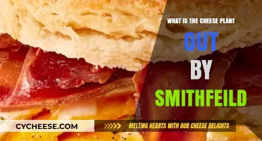 Exploring the Cheese Plant Near Smithfeild: A Unique Botanical Wonder