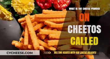Unveiling the Mystery: What's the Cheese Powder on Cheetos Called?