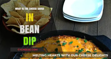 Unveiling the Creamy Secret: What's in Bean Dip Cheese Sauce?