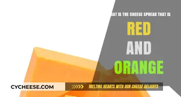 Discover the Vibrant Red and Orange Cheese Spread: A Tasty Guide