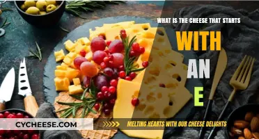 Exploring Emmental: The Iconic E-Starting Cheese You Need to Know