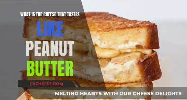 The Sweet and Savory Delight: Discovering the Peanut Butter Cheese