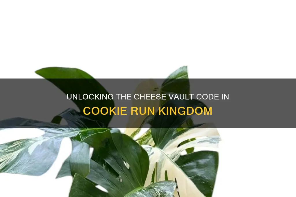 what is the cheese vault code in cookie run kingdom