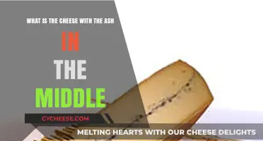 Discover the Unique Morbier Cheese: Ash-Layered French Delight Explained