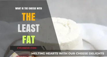 Low-Fat Cheese Guide: Discover the Lightest Option for Healthy Eating