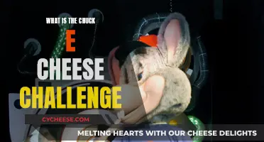 Chuck E Cheese Challenge: What's the Deal?